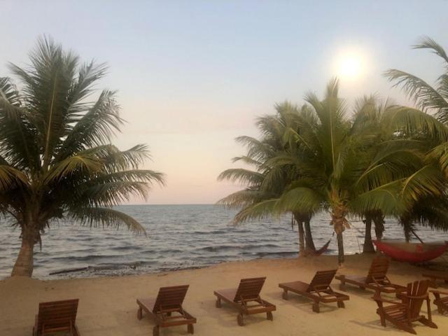 The White Horse Inn - Hopkins Village Beach Belize Buitenkant foto