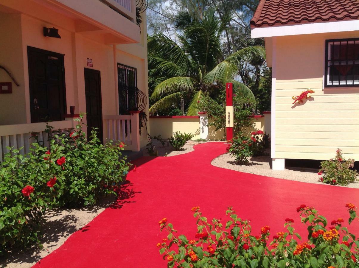 The White Horse Inn - Hopkins Village Beach Belize Buitenkant foto